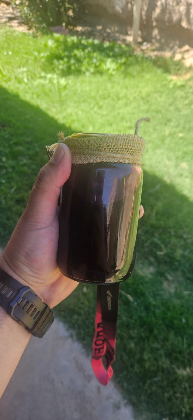 mermelada de arándanos caseras