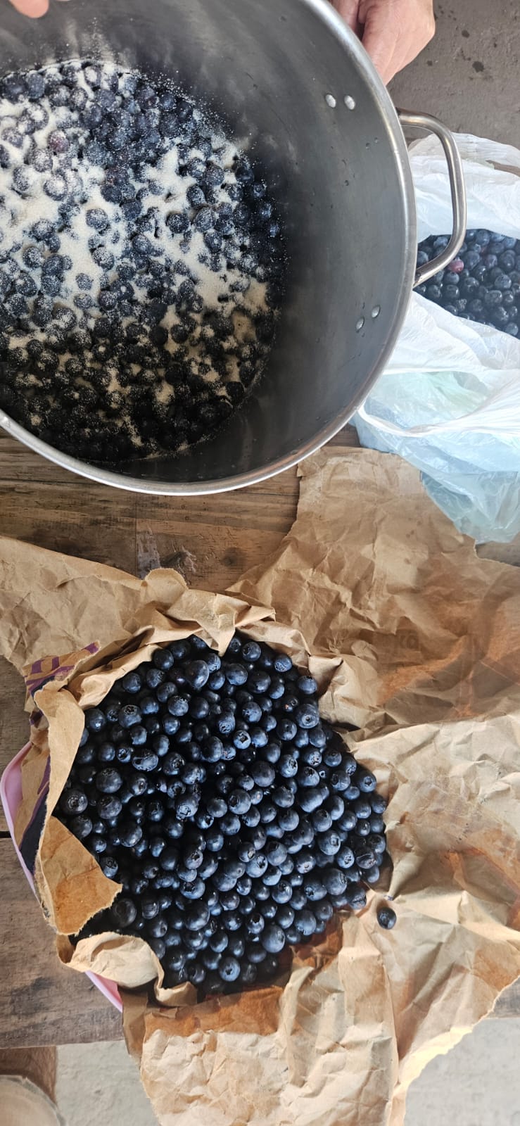 mermelada de arándanos caseras